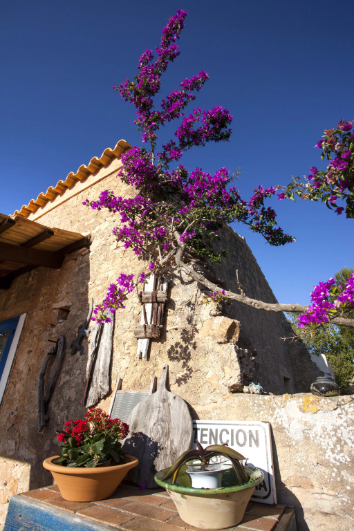 Casa Casita