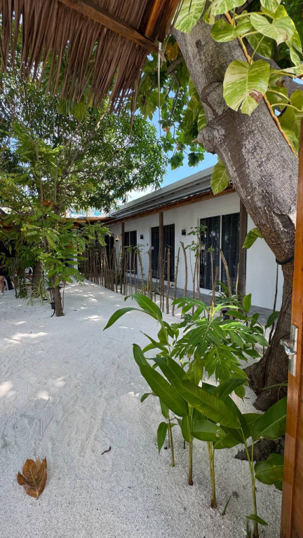 Гостевой дом Navaya Dhiffushi