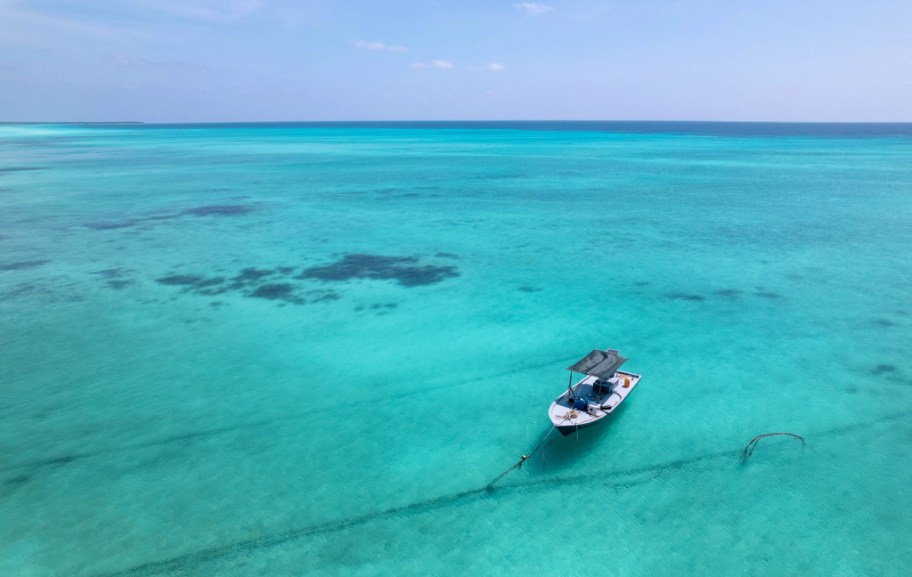 Island Luxury Boutique Hotel - Fulhadhoo