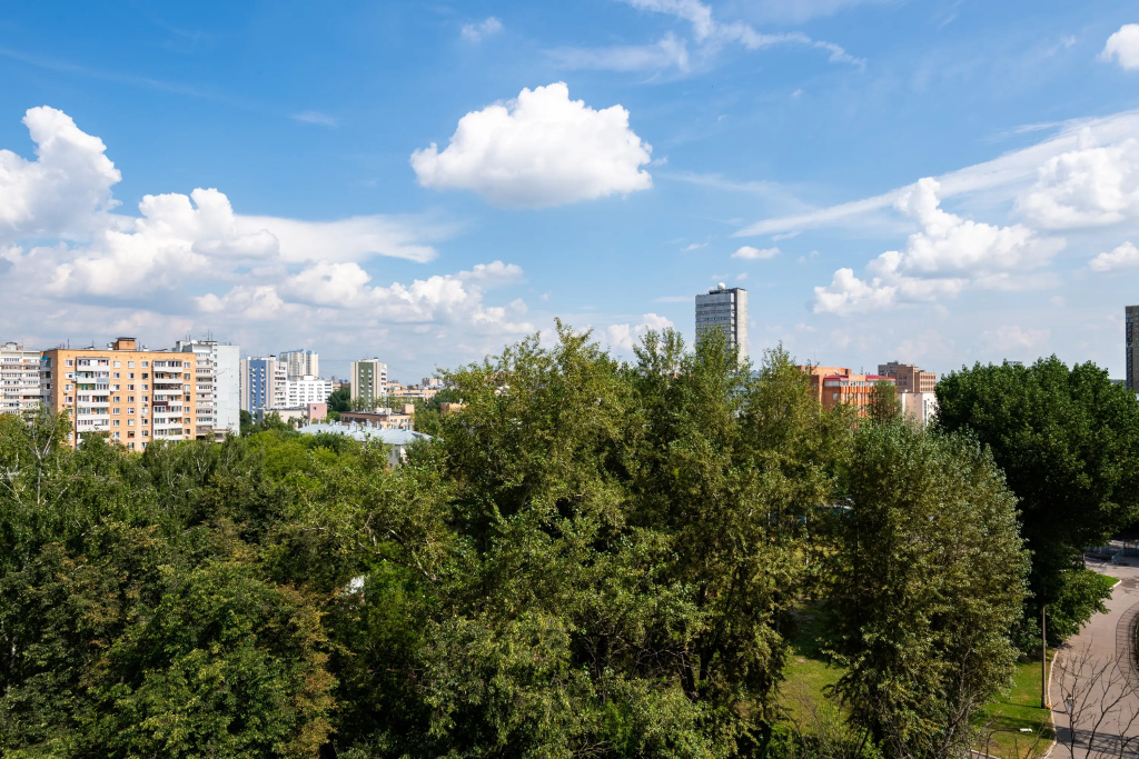 Квартира Вольная 4