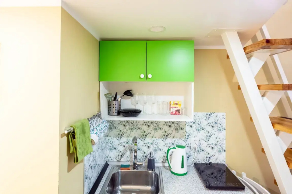 Апартаменты Roomstay Гривцова 13 Standart Studio #5