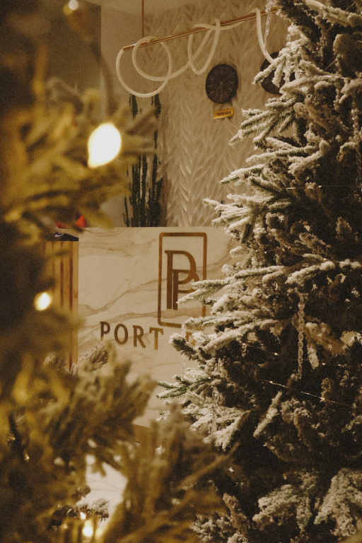 Port Plaza EVN