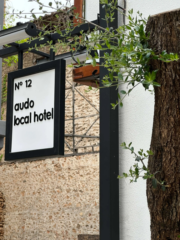 Audo Local