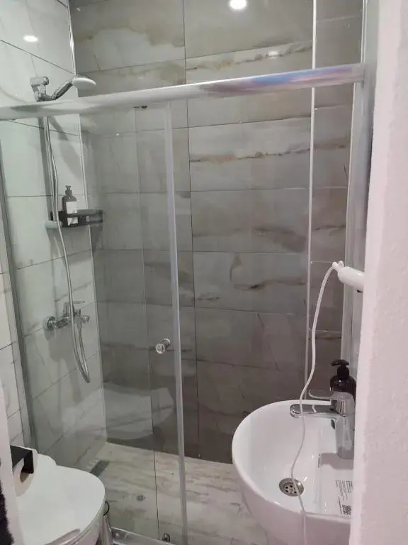 Отель The Professor's Hotel