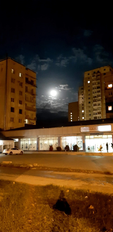 Квартира в Гаграх ул Лакоба 4/41