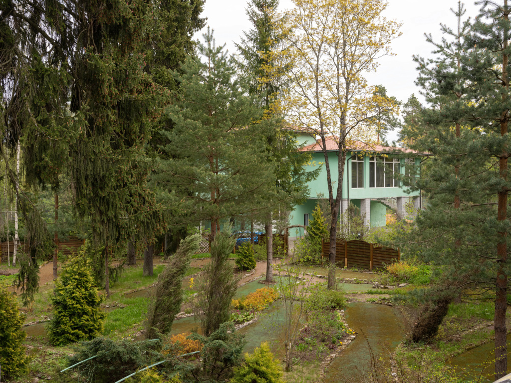 Отель Forest Relax