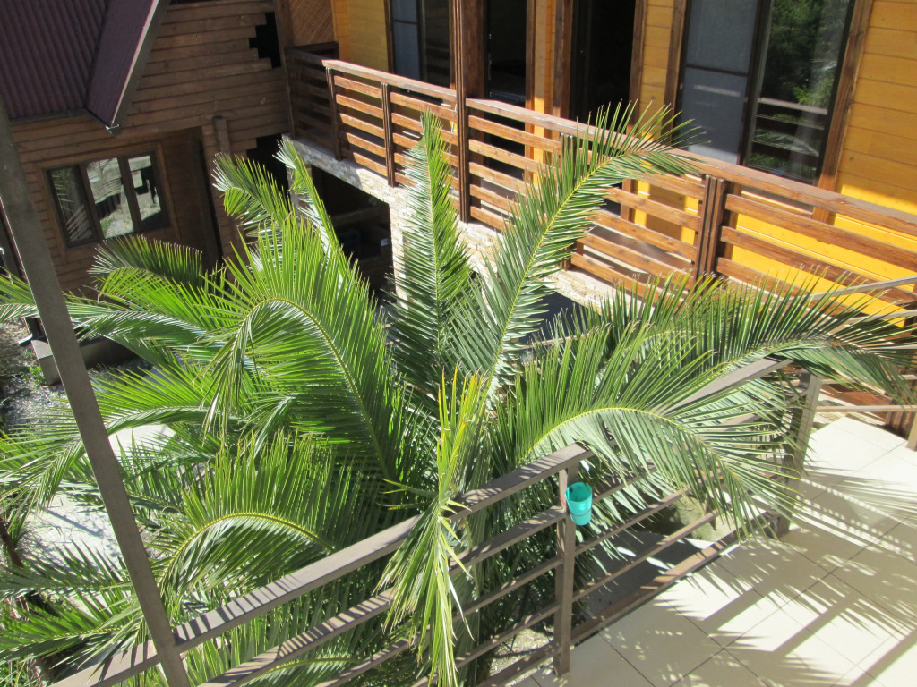 Гостевой Дом Олимпийский Парк Адлер Переулок Ивовый 8