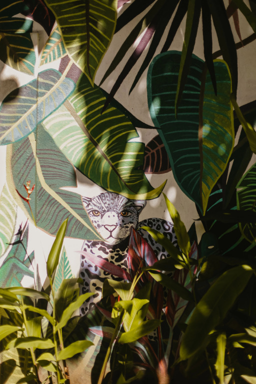 Jungle Soul