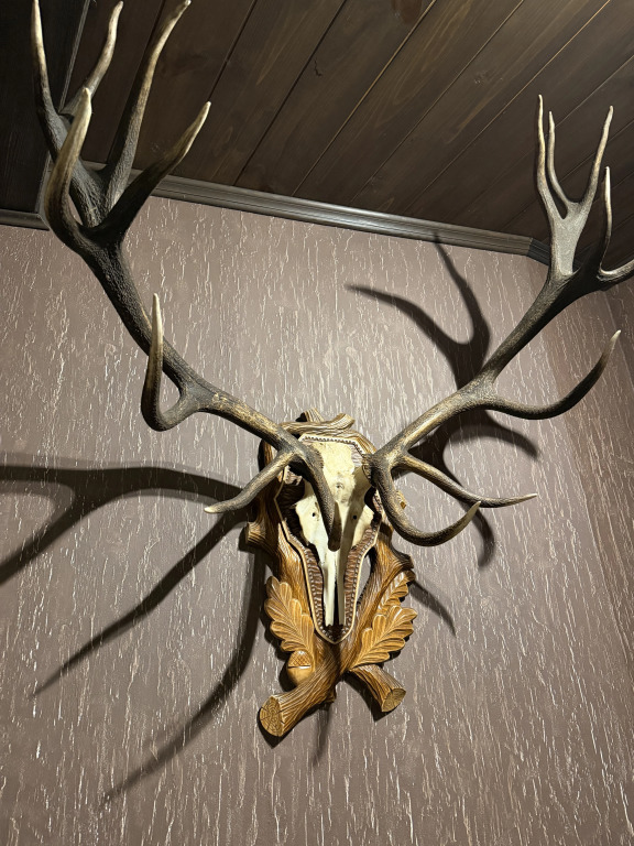 Шале Grand chalet Беловежская пуща