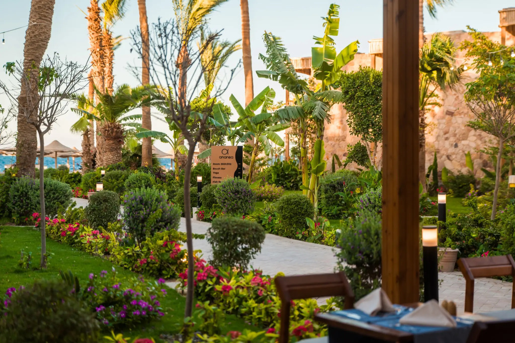 Отель Ananea Hurghada-Adults only