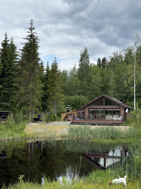 Частный дом Scandi house