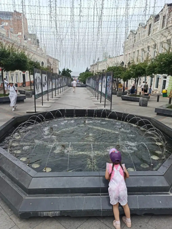 Квартира на Адмирала Фокина 5