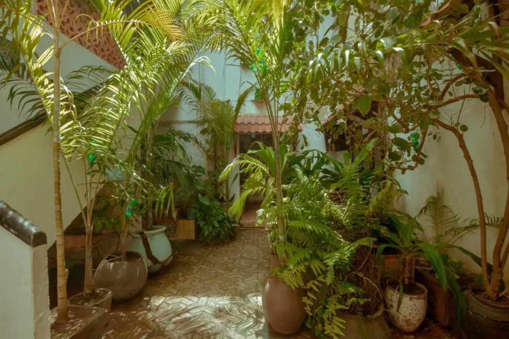 Malindi Guest House