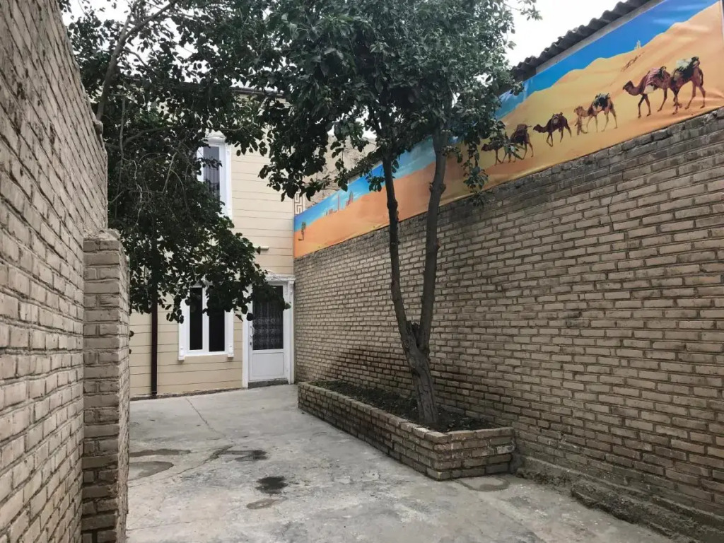Diyor Hostel