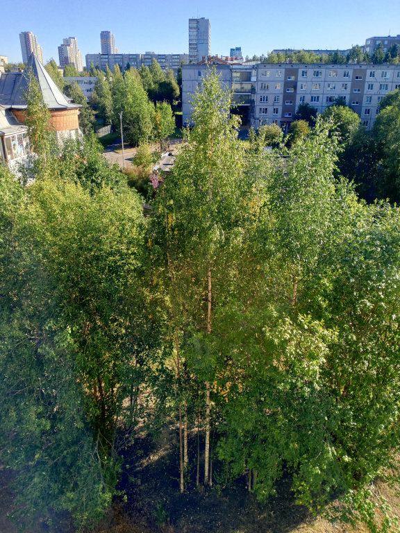 Квартира на Кукковке