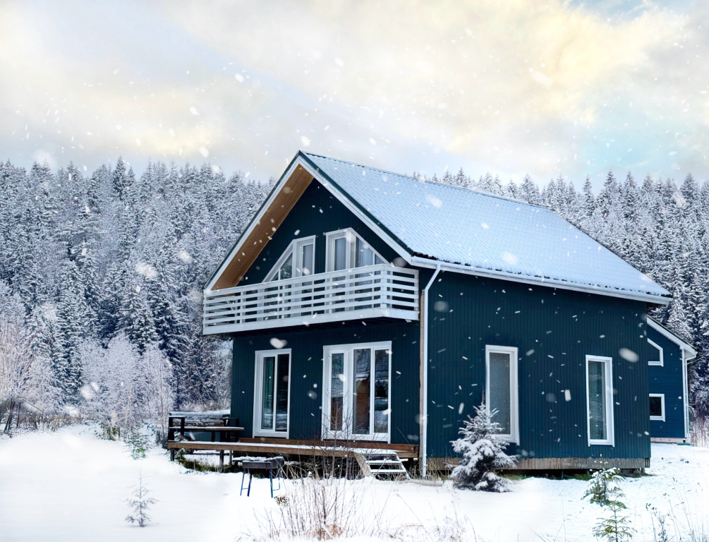 Гостевой дом Scandi home