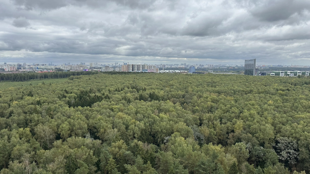 Апартаменты Простые с видом на лес