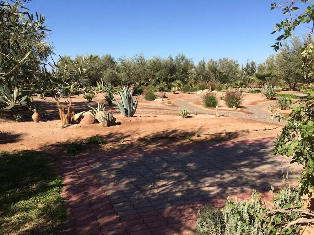 Ferme Sidi Safou & Spa