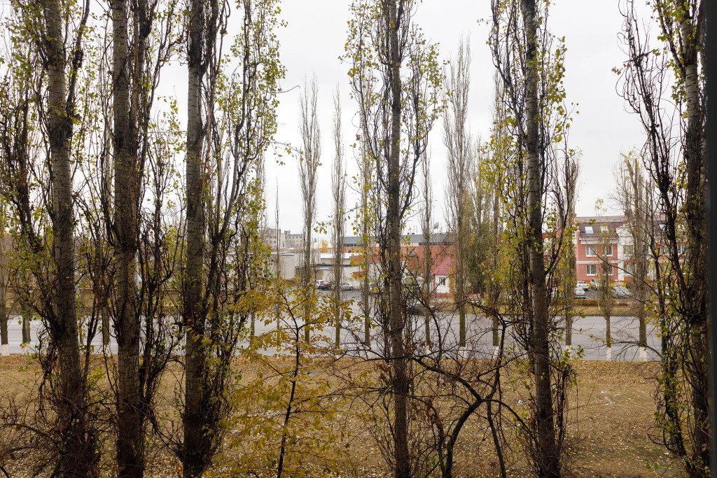 Квартира на Олимпийском