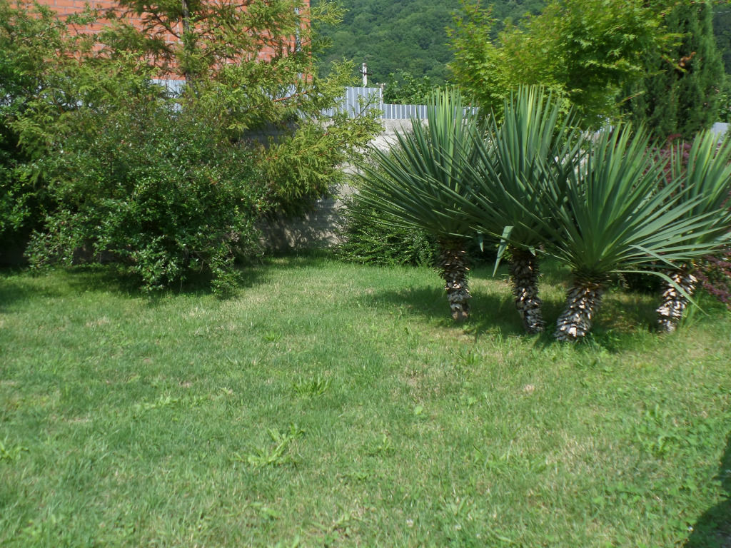 Sezon Guest House