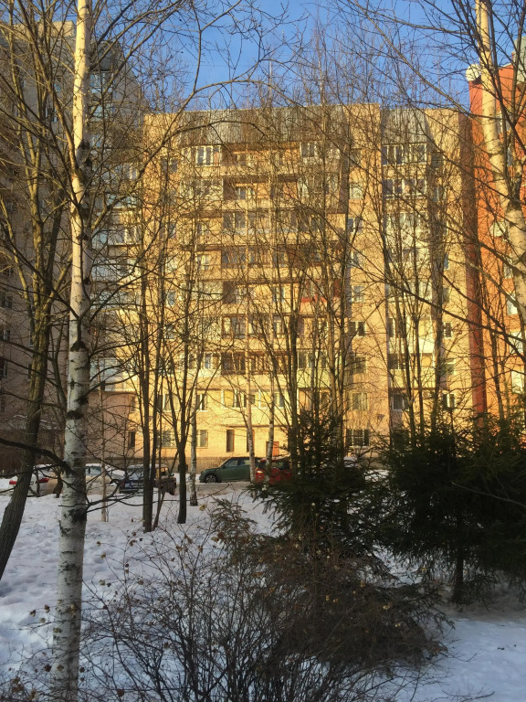 Квартира Квартира на Энгельса у метро Озерки