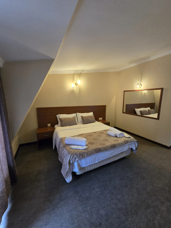 Отель Ritsa Hotel