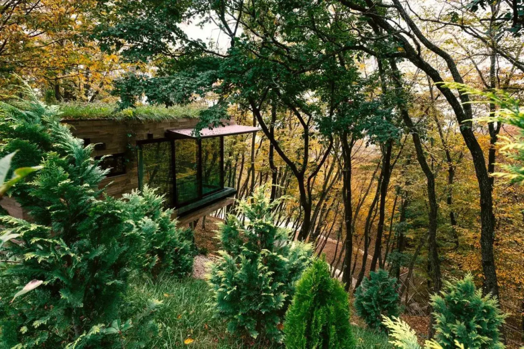 Курортный Отель Bioli Medical Wellness Resort