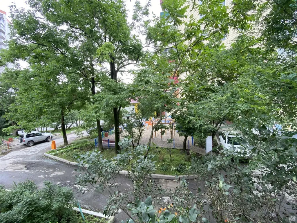Квартира Бестужева 24а (1)