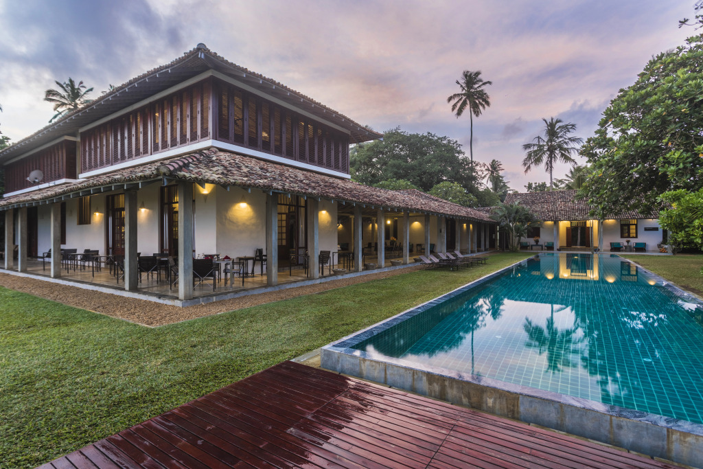 The Frangipani Tree by Edwards Collection - Thalpe