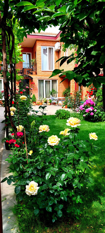 GREEN GARDEN