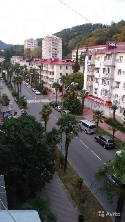 Квартира в центре Хосты