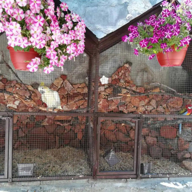 Отель Li-Em Fauna