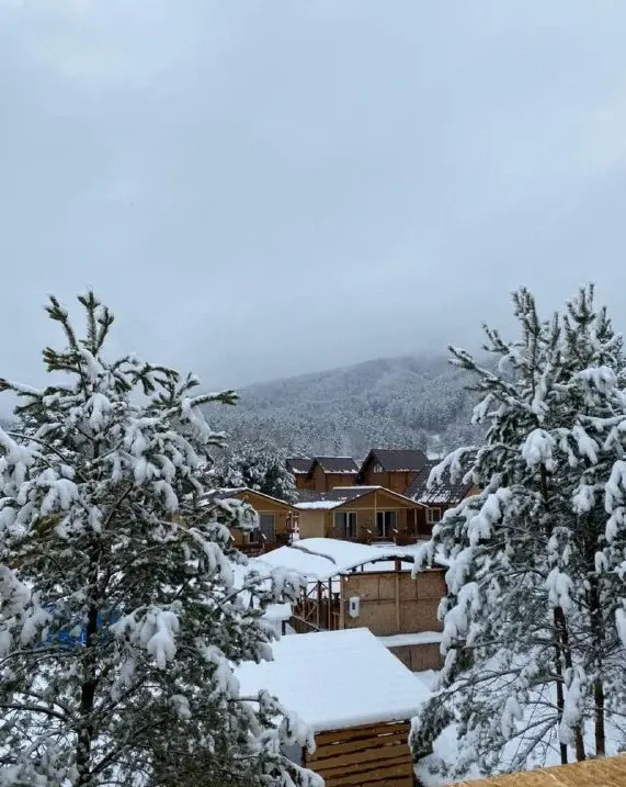 Малина Вилладж
