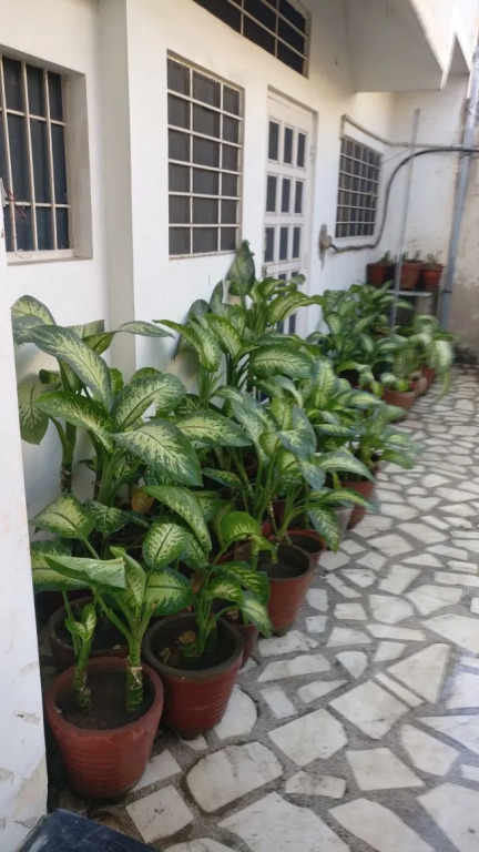 Abode Homestay