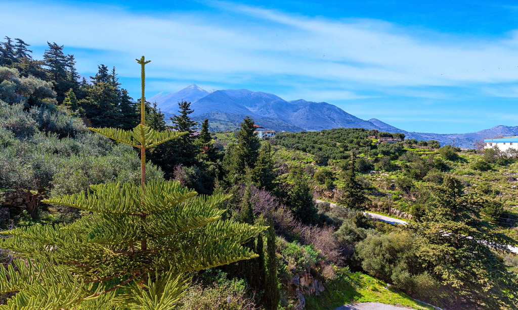 Вилла Cretan Sunny Villa Heated Pool