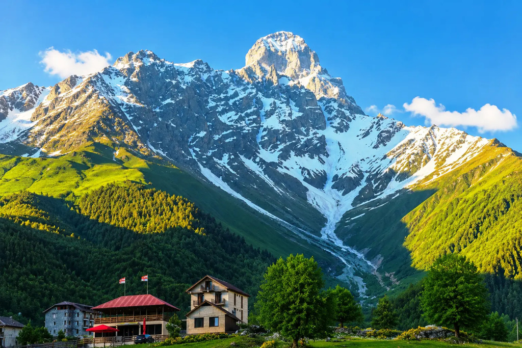 Отель Ushba Hill Panoramic Lodge Becho