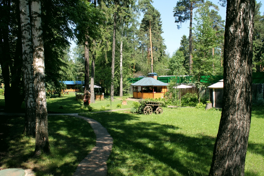 Арт Отель Пушкино