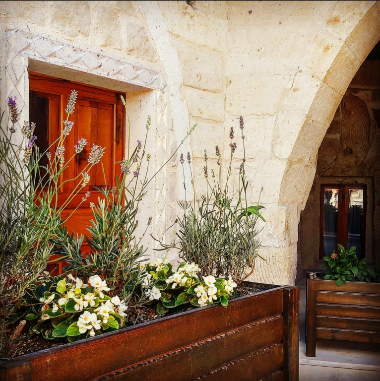 Бутик-отель Vigneron Cave Hotel