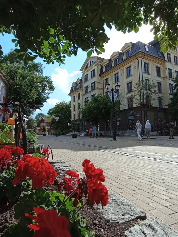 Квартира Mansarda Loft