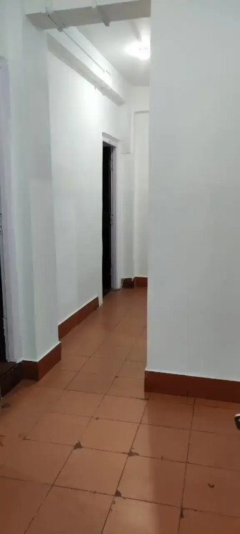 Отель The Magnolia