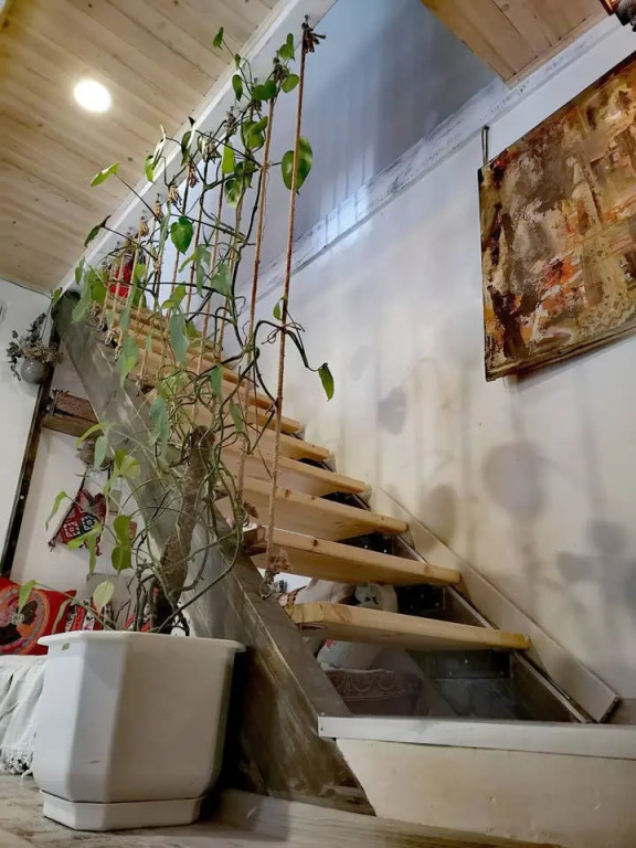 Апартаменты Helen and David Bird's Nest