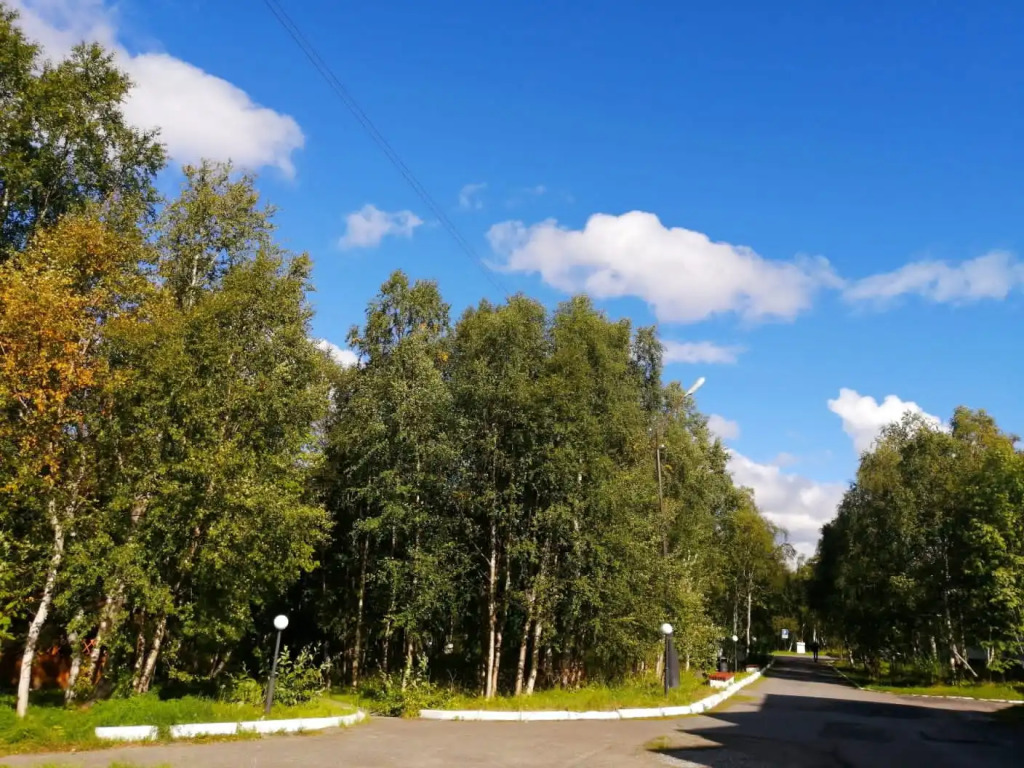 Отель Лапландия
