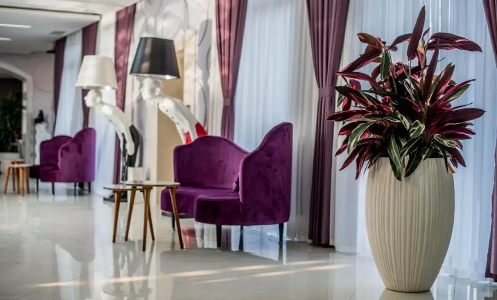 Aster Hotel Group