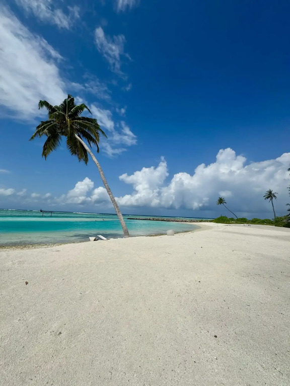 Гостевой дом Navaya Dhiffushi