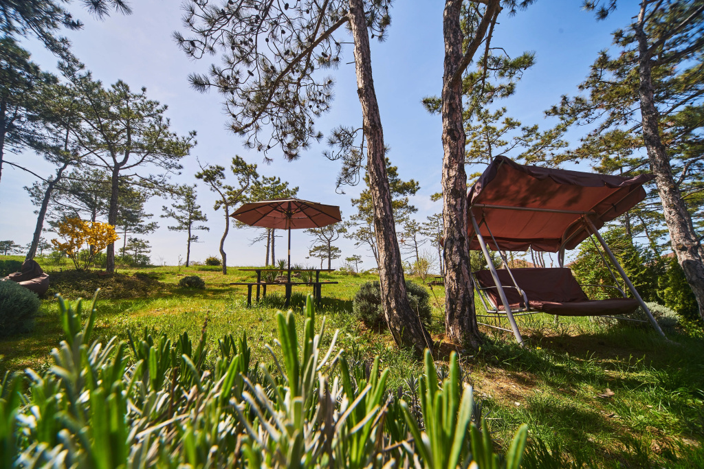 Villa Sova Guest house