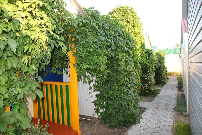 Отель Сокол