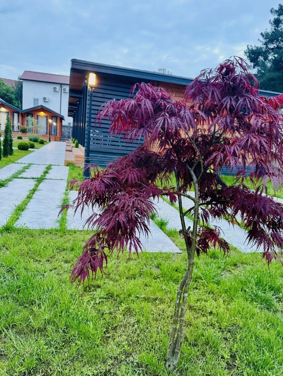 База отдыха Хвоя COTTAGE HOUSE