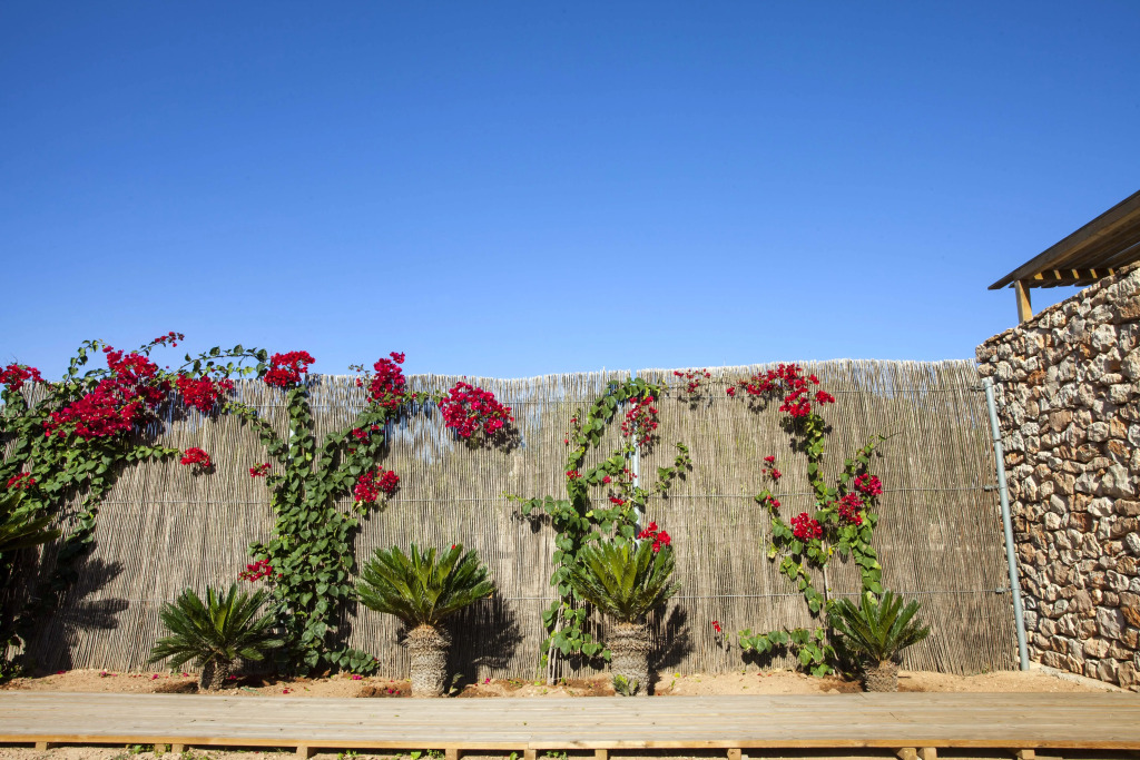 Piedra Chalet