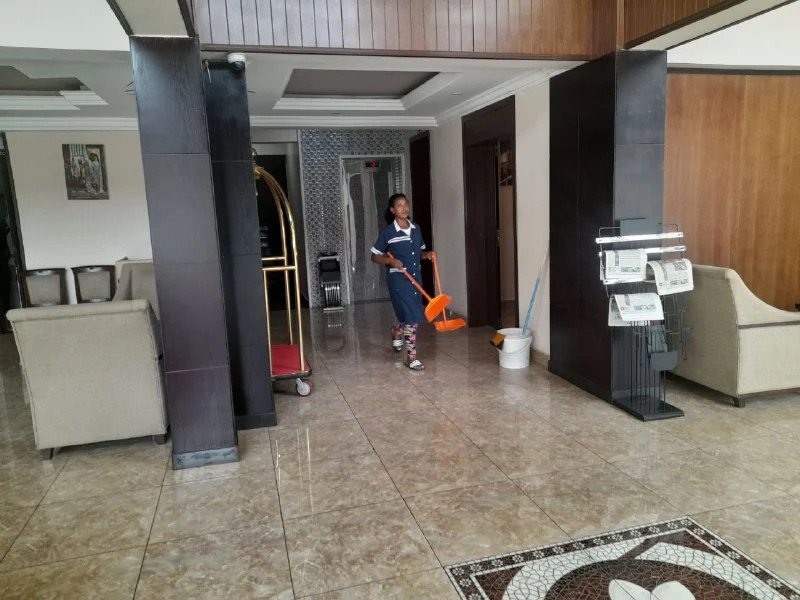Отель Southern Addis Hotel