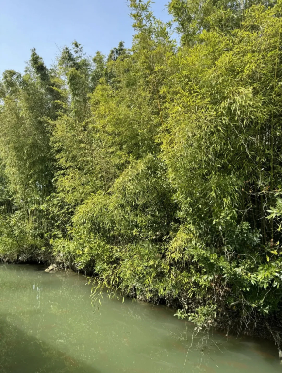 Гостевой дом Розовый Фламинго